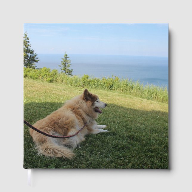 Suka Enjoying Cape George Guest Book (Front)