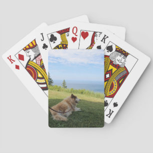 Suka Enjoying Cape George Playing Cards