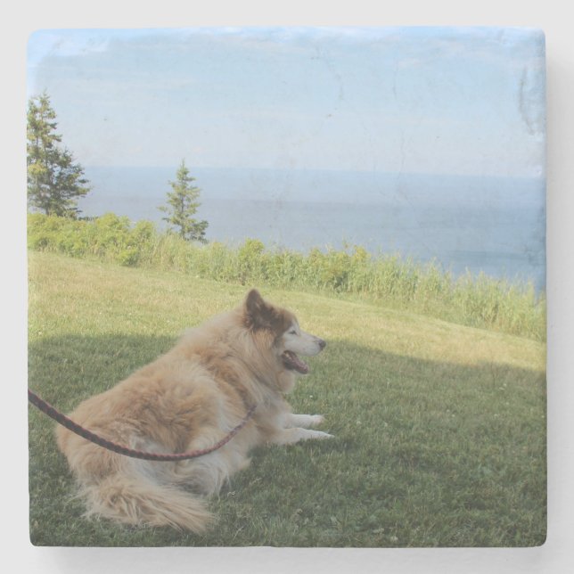 Suka Enjoying Cape George Stone Coaster (Front)