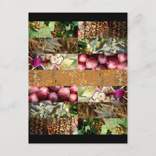 Sukkot holidays postcard