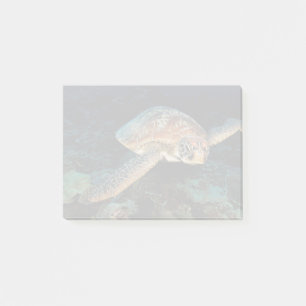 Sulawesi Green Sea Turtle Post-it Notes