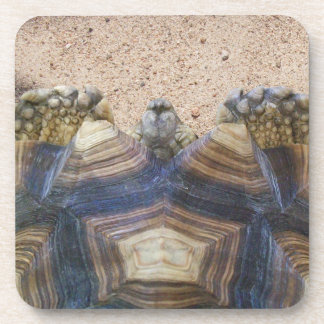 Sulcata Tortoise and Sand Magnet Stone Coaster Gif