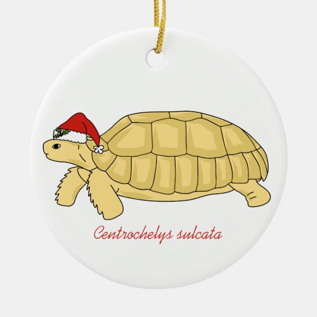Sulcata Tortoise Christmas Ornament (Front)