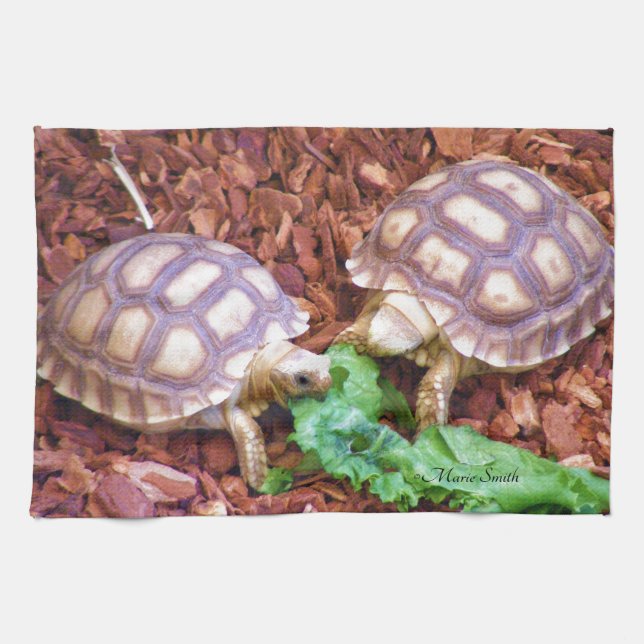 Sulcata Tortoise Hatchlings Tea Towel (Horizontal)