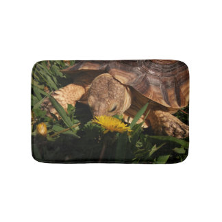 Sulcata Tortoise in Grass and Dandelion Flowers Bath Mat