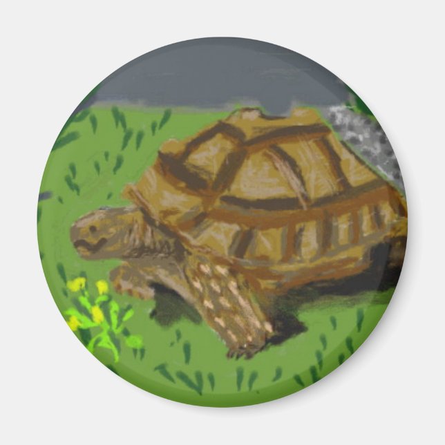 Sulcata Tortoise Magnet (Front)