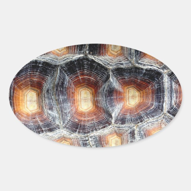 Sulcata Tortoise Shell Sticker (Front)