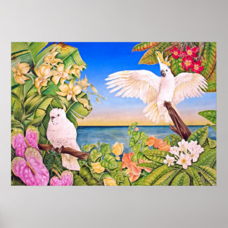 Sulfer-crested Cockatoos Poster