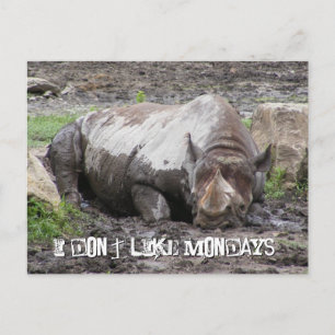 Sulking Rhino Postcard