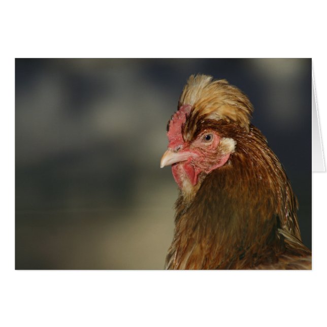 Sulmtaler (Front Horizontal)