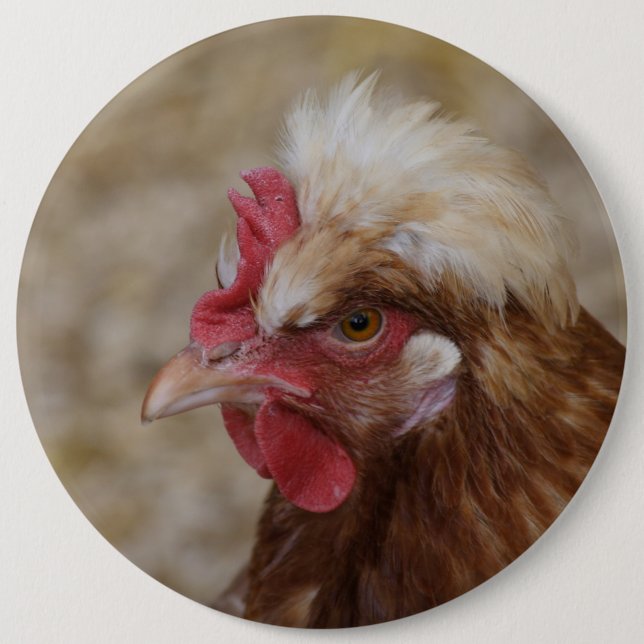 Sulmtaler Hen 6 Cm Round Badge (Front)