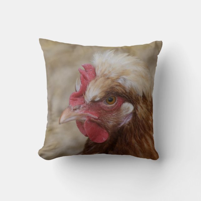 Sulmtaler Hen Cushion (Front)