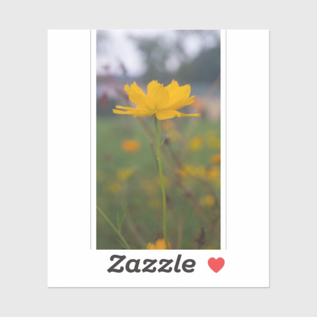 Sulphur Cosmos 05 (Sheet)