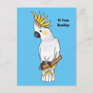 Sulphur-crested cockatoo bird cartoon illustration postcard