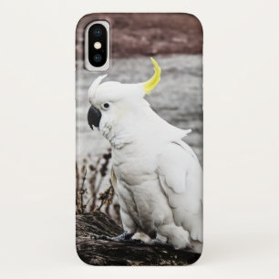 Sulphur-Crested Cockatoo Case-Mate iPhone Case
