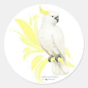 Sulphur Crested Cockatoo Classic Round Sticker