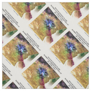 Sulphur Dioxide Plume Eruption Mt. Etna Italy Fabric