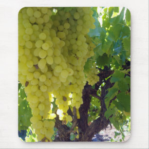 Sultana Grapes On A Grape Vine, Mouse Pad