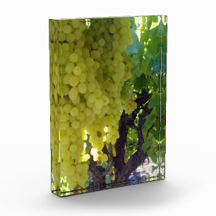 Sultana Grapes On A Grape Vine, Photo Block