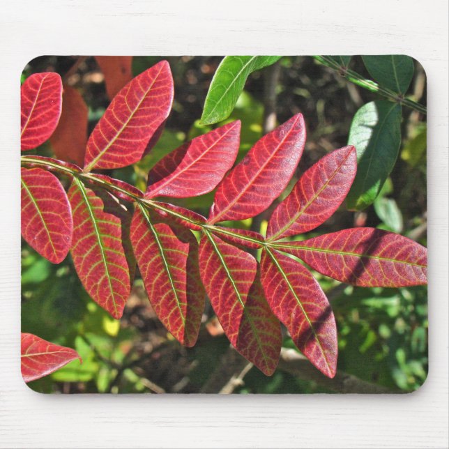 Sumac Leaves In Autumn Mouse Pad (Front)