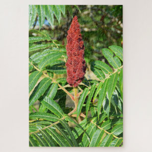 Sumac tree in France Jigsaw Puzzle