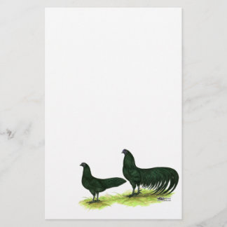 Sumatra Black Chickens