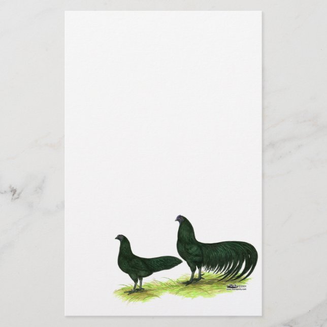 Sumatra Black Chickens (Front)