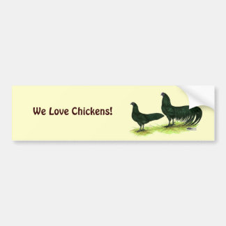 Sumatra Black Chickens Bumper Sticker