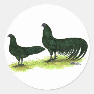 Sumatra Black Chickens Classic Round Sticker