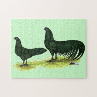 Sumatra Black Chickens Jigsaw Puzzle