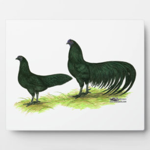 Sumatra Black Chickens Plaque