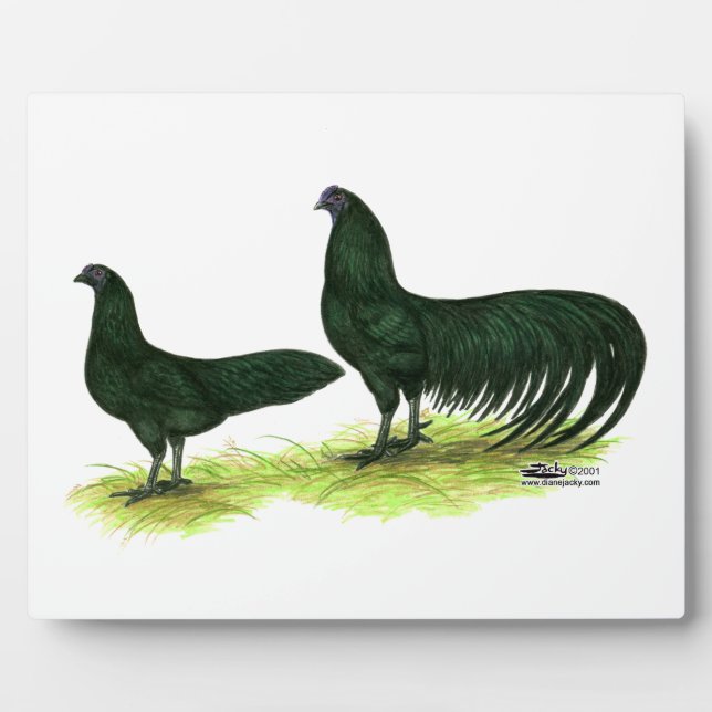Sumatra Black Chickens Plaque (Front)