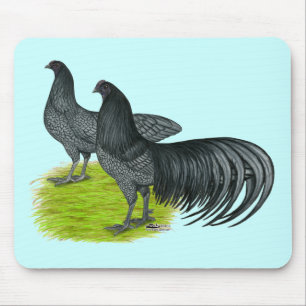 Sumatra: Blue Pair Mouse Pad