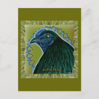 Sumatra Rooster Framed Postcard