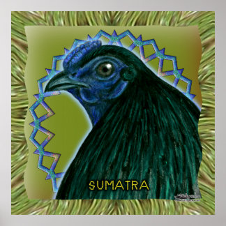 Sumatra Rooster Framed Poster