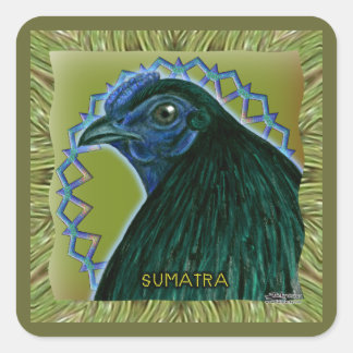 Sumatra Rooster Framed Square Sticker
