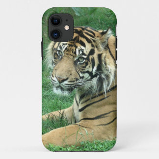 Sumatra Tiger On iPhone 5 Barely There Case-Mate iPhone Case