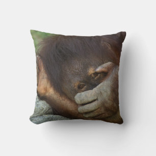 Sumatran Orangutan, Pongo pygmaeus Cushion