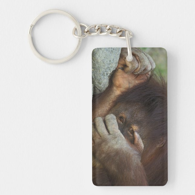 Sumatran Orangutan, Pongo pygmaeus Key Ring (Front)