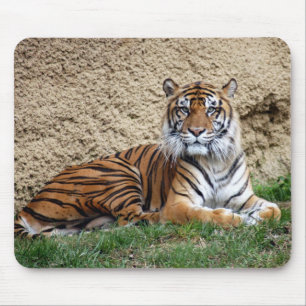 sumatran tiger 7 mouse pad
