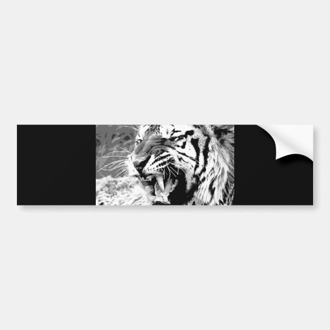 Sumatran Tiger Bumper Sticker (Front)