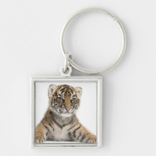 Sumatran Tiger cub Key Ring