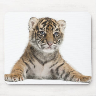 Sumatran Tiger cub - Panthera tigris sumatrae (3 Mouse Pad