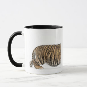 Sumatran Tiger cub - Panthera tigris sumatrae (3 Mug