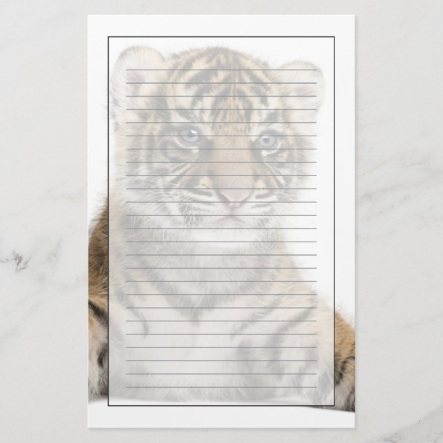 Sumatran Tiger cub Stationery (Front)