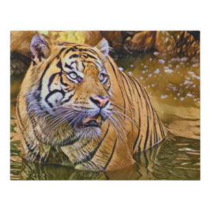 Sumatran Tiger in water painting Faux Canvas Print