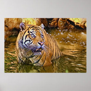 Sumatran Tiger in water painting Poster