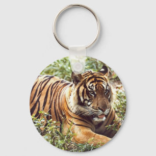 Sumatran Tiger Keychain