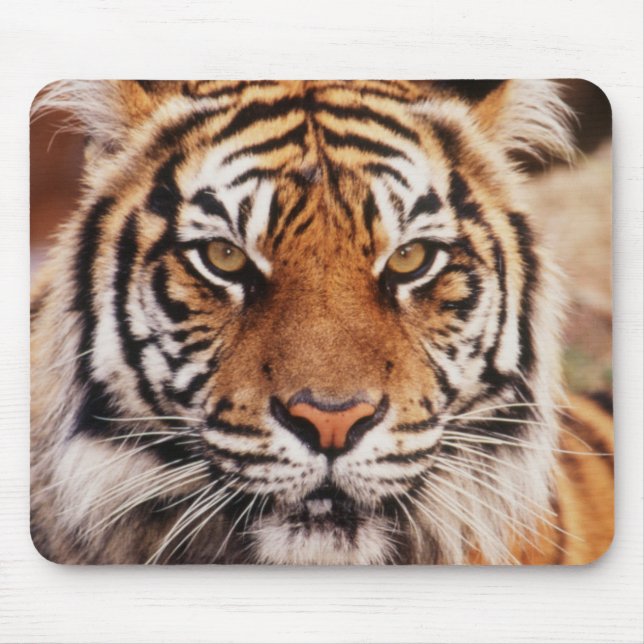 Sumatran Tiger Mouse Pad (Front)
