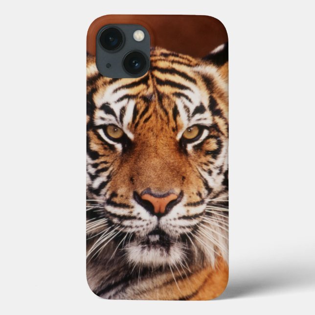 Sumatran Tiger, Panthera tigris Case-Mate iPhone Case (Back)